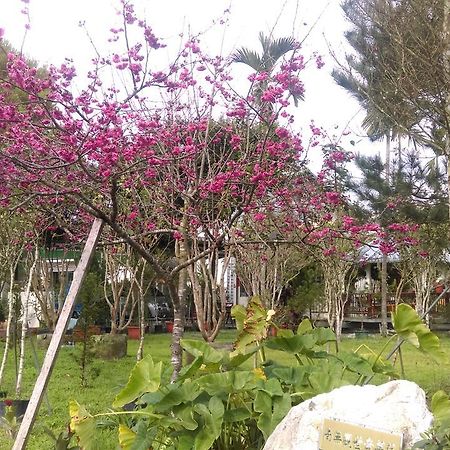 Bed and Breakfast Sun Moon Lake Wild Flower Yuchi Exterior foto