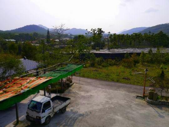 Bed and Breakfast Sun Moon Lake Wild Flower Yuchi Exterior foto